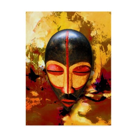 Ata Alishahi 'Mask' Canvas Art,35x47